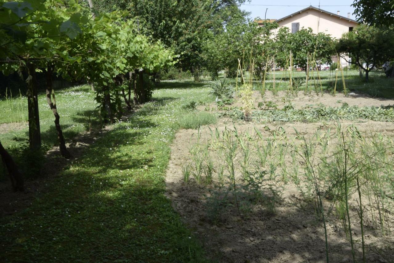Bed and Breakfast Capannone111 Castiglione di Ravenna Exteriér fotografie